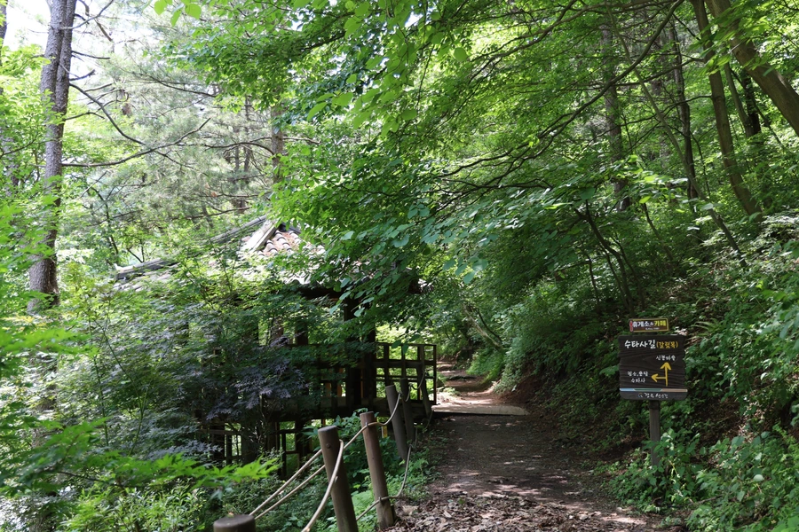 SE-258be865-d319-44f1-931b-cc31dfccde9c.jpg?type=w1