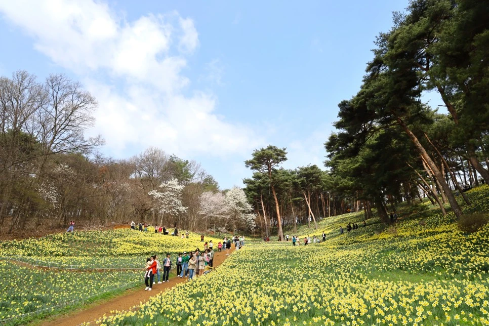 4%EC%9B%945%EC%9D%BC_(83).JPG?type=w966