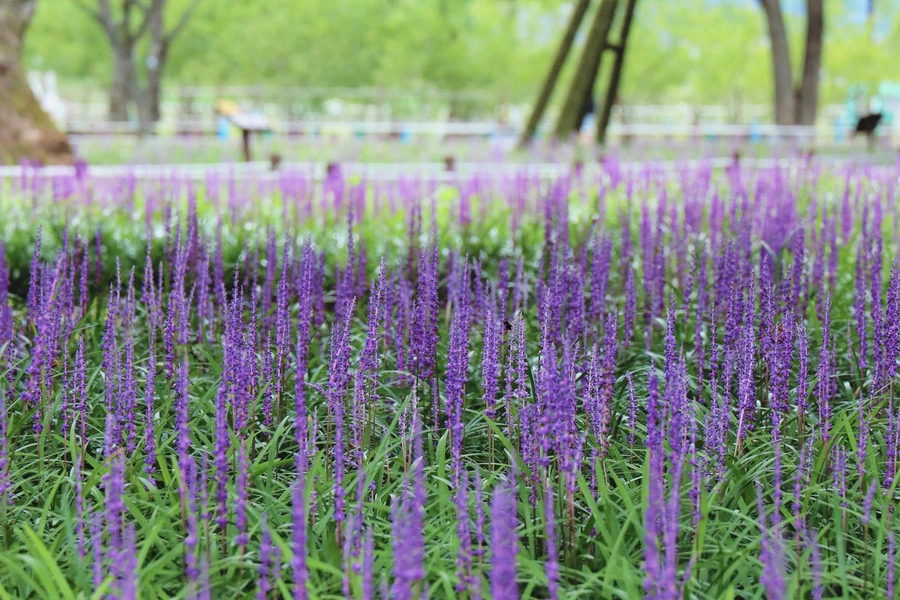 SE-7367526f-a500-479c-8566-163482180675.jpg?type=w1