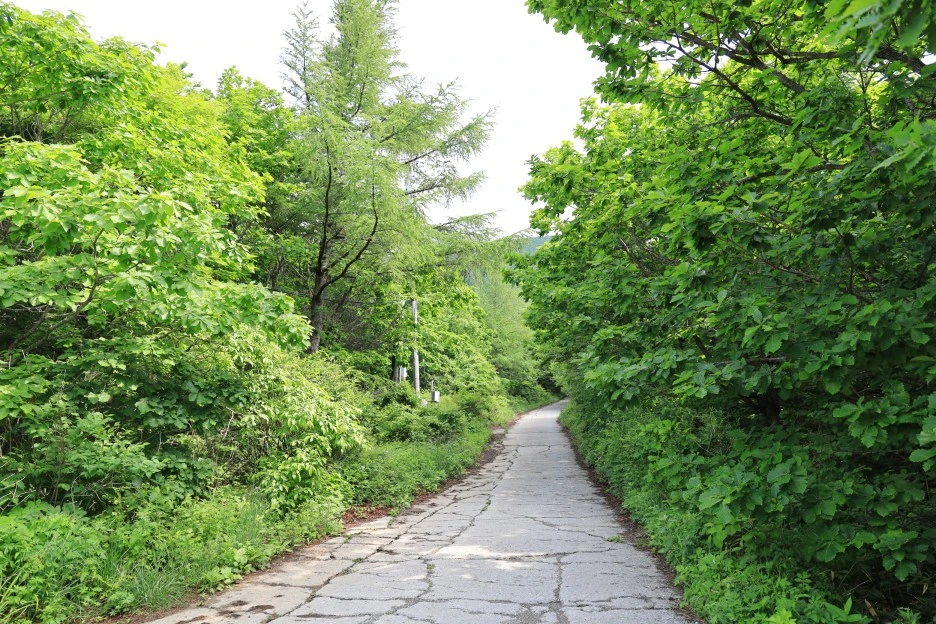 6%EC%9B%9414%EC%9D%BC_(106).JPG?type=w1