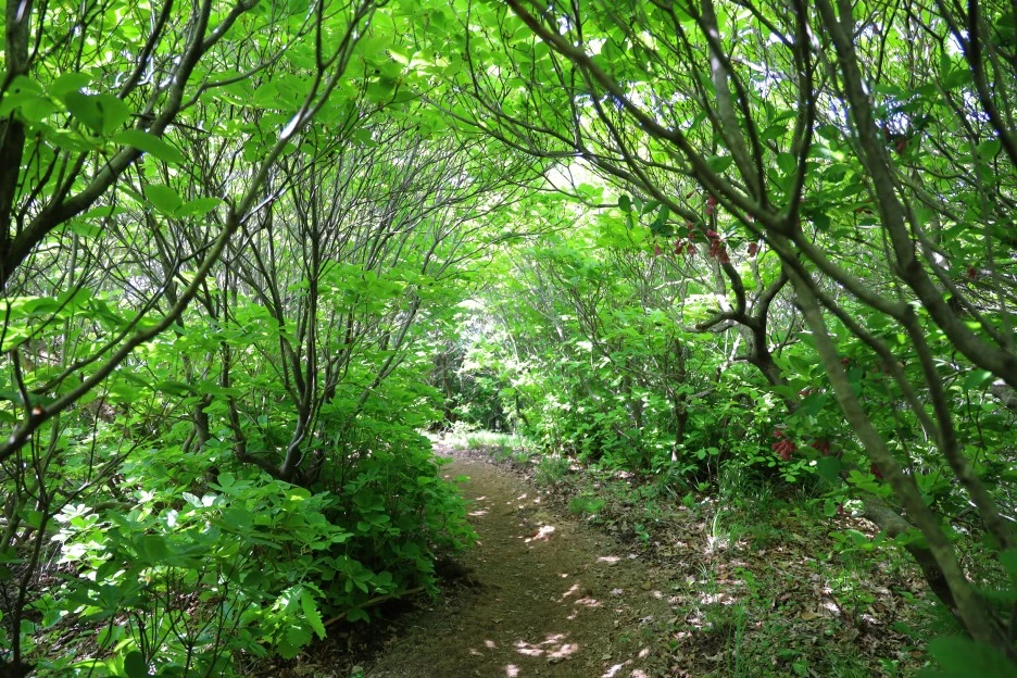 5%EC%9B%9410%EC%9D%BC_(35).JPG?type=w1