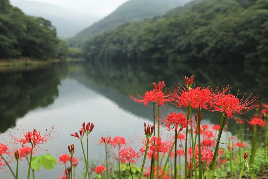 SE-24277d51-01a4-4dda-85d6-48d1ae3a83aa.jpg?type=w1