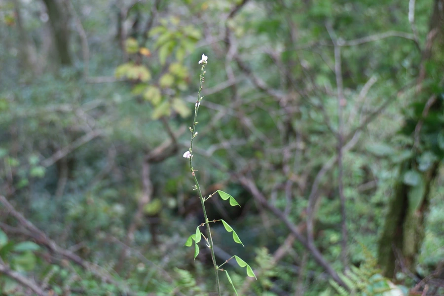 SE-77c0203d-bbdd-4bd9-8f68-b3cc9d4d7d7c.jpg?type=w1