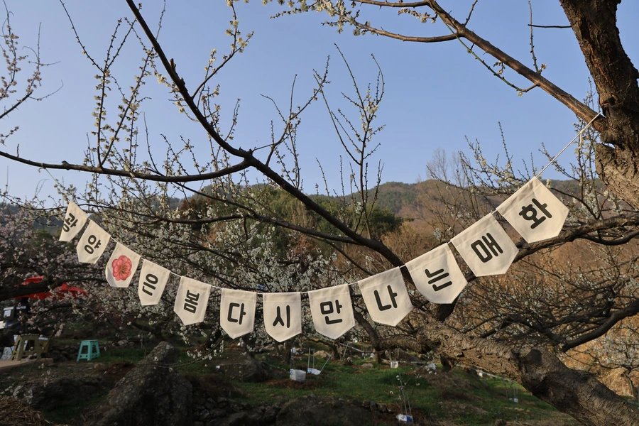 SE-eeb3932d-34bf-4cbe-a03d-7bb552864a31.jpg?type=w1