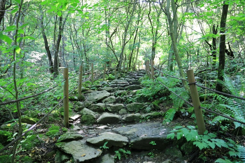 6%EC%9B%9428%EC%9D%BC_(85).JPG?type=w1