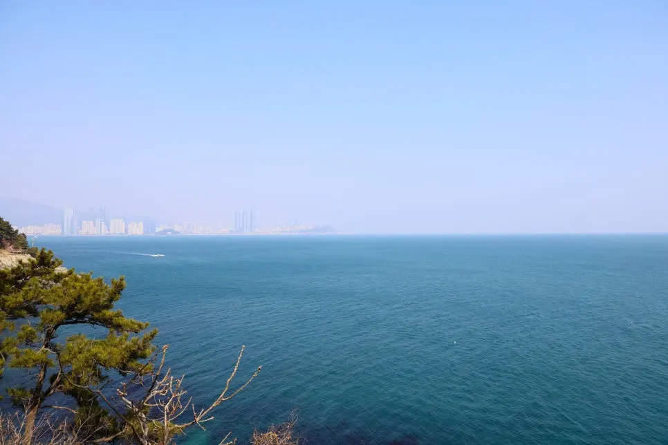 2%EC%9B%9426%EC%9D%BC_(42).JPG?type=w966