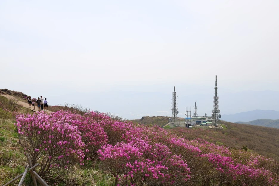 4%EC%9B%9428%EC%9D%BC_(134).JPG?type=w1