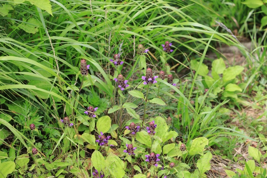 6%EC%9B%9428%EC%9D%BC_(160).JPG?type=w1