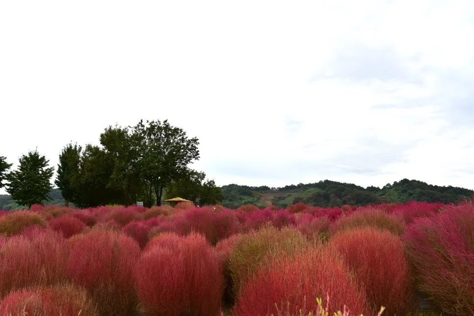 10%EC%9B%9414%EC%9D%BC_(41).JPG?type=w966