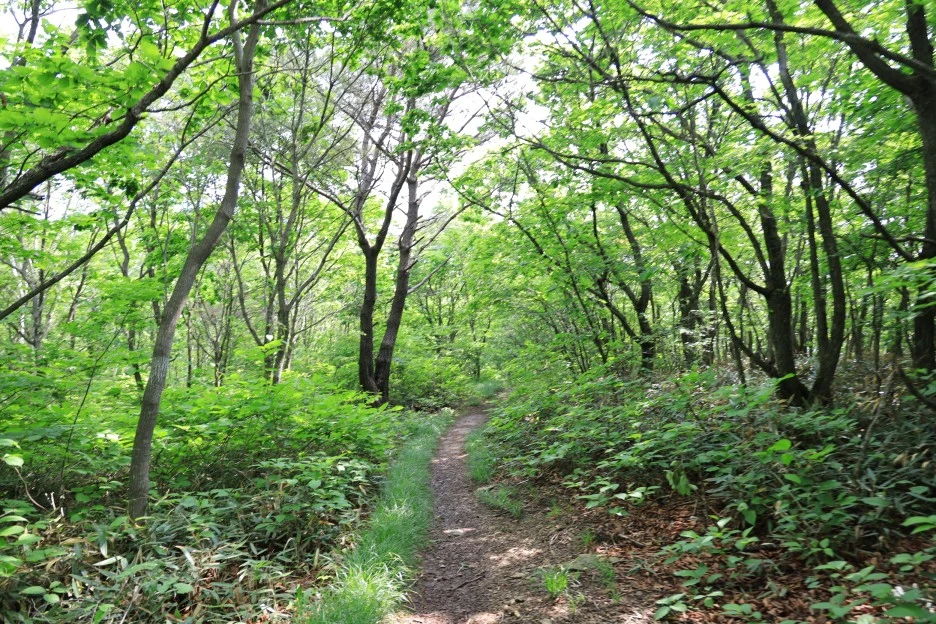 6%EC%9B%9414%EC%9D%BC_(40).JPG?type=w1