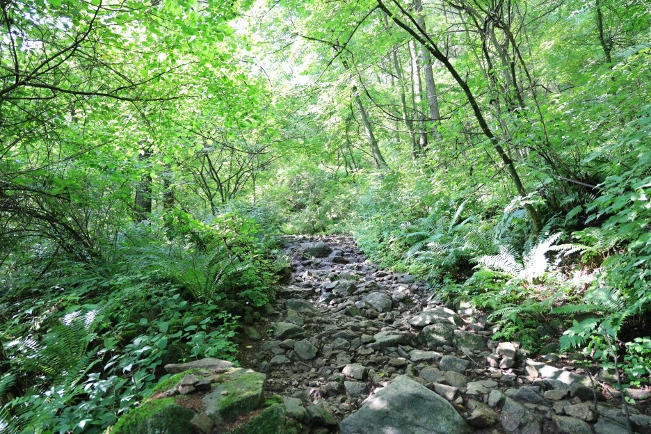 6%EC%9B%9428%EC%9D%BC_(47).JPG?type=w1