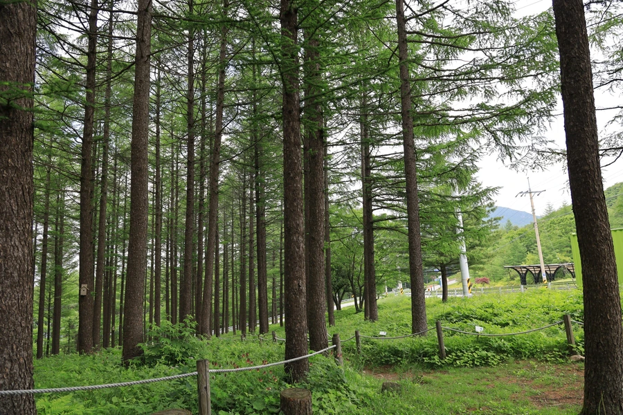 SE-a6f11a41-eabf-4c27-8aca-4656412477d2.jpg?type=w1