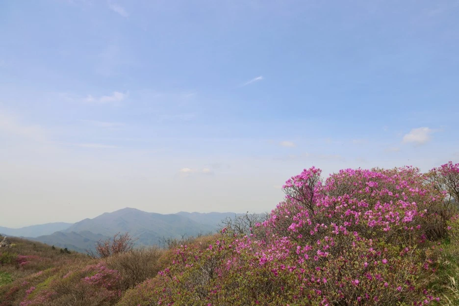 4%EC%9B%9428%EC%9D%BC_(142).JPG?type=w1