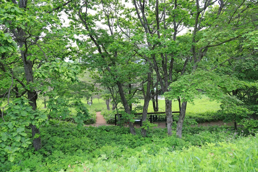 SE-bb31ce25-efd0-4e5d-a5c7-2cc02f040ca8.jpg?type=w1