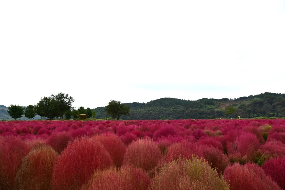 10%EC%9B%9414%EC%9D%BC_(53).JPG?type=w966