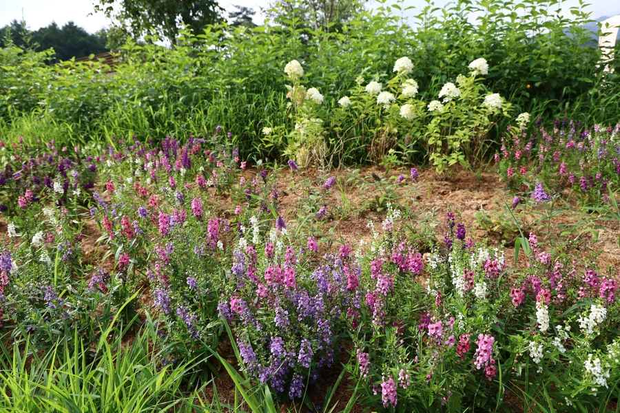 SE-1f0fba7a-4cc3-431f-995d-8d93e165a239.jpg?type=w1