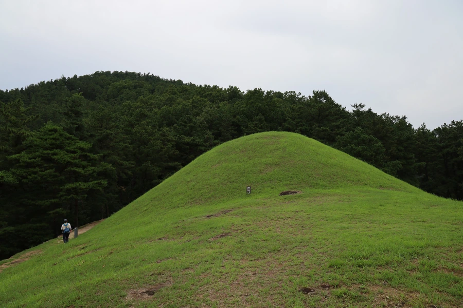 SE-fdd92629-3e48-42b0-8b09-22934a86c608.jpg?type=w1