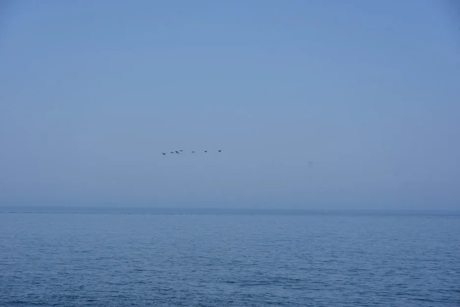 3%EC%9B%9411%EC%9D%BC_(10).JPG?type=w1