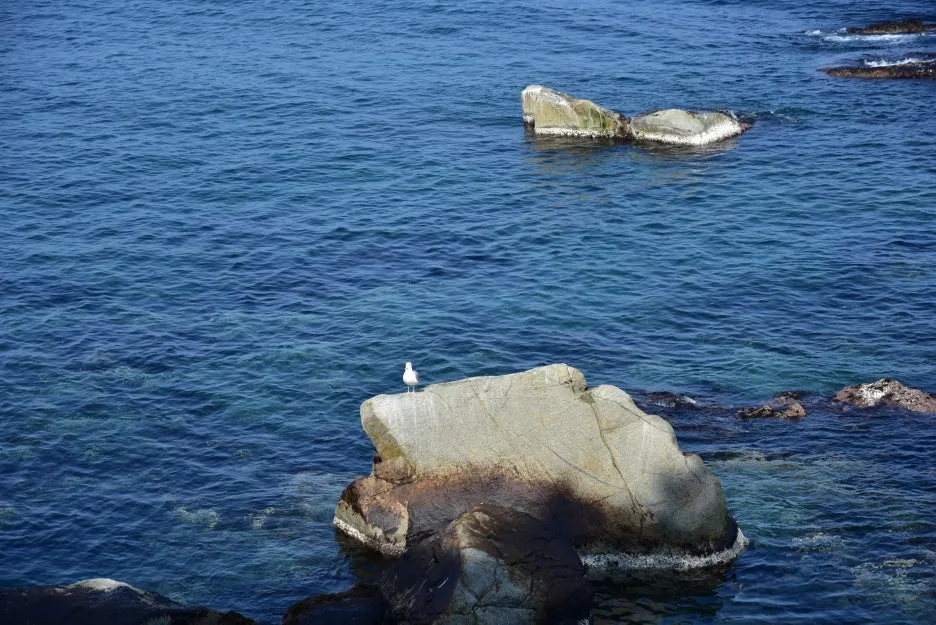 3%EC%9B%9411%EC%9D%BC_(15).JPG?type=w1