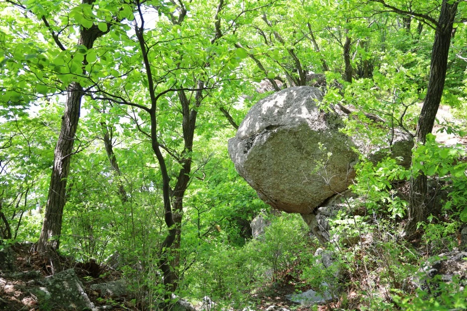 5%EC%9B%9410%EC%9D%BC_(147).JPG?type=w1