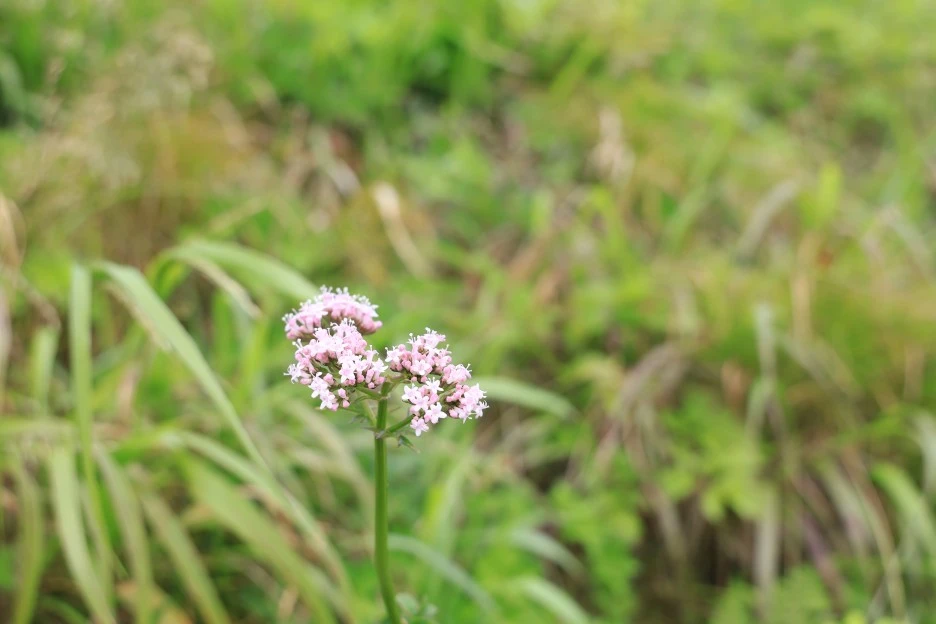 6%EC%9B%9428%EC%9D%BC_(251).JPG?type=w1