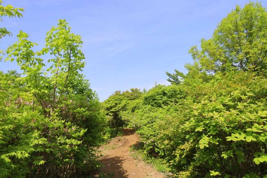 5%EC%9B%9410%EC%9D%BC_(58).JPG?type=w1