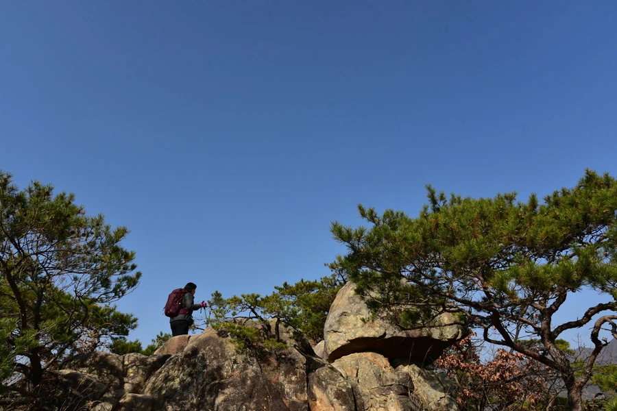 SE-294e911a-aba9-4ab5-8b50-3d0b09bb7062.jpg?type=w1