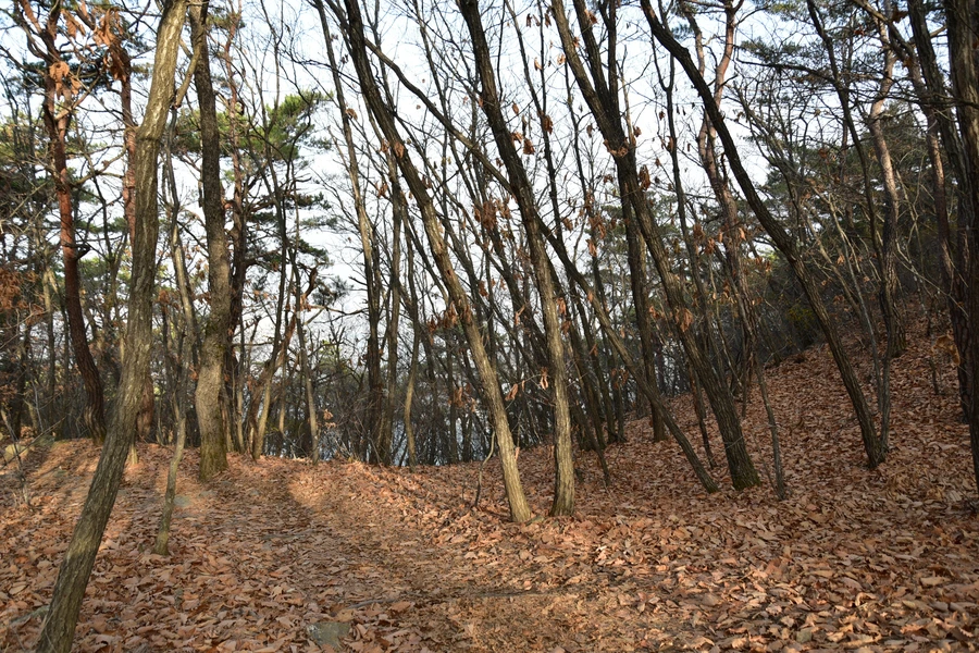 SE-d3861f01-d952-40fc-8b64-66f85c088633.jpg?type=w1