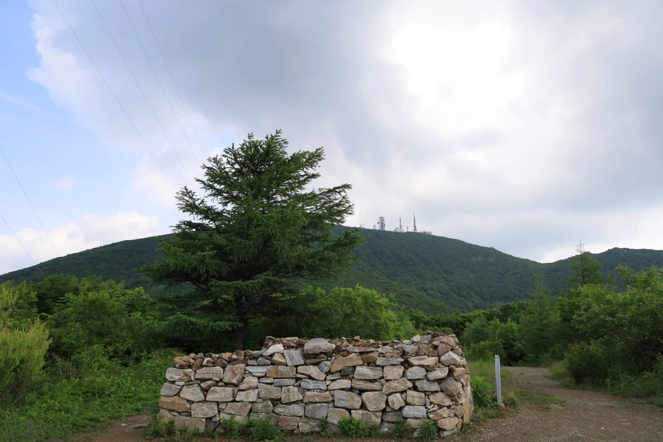 6%EC%9B%9414%EC%9D%BC_(91).JPG?type=w1