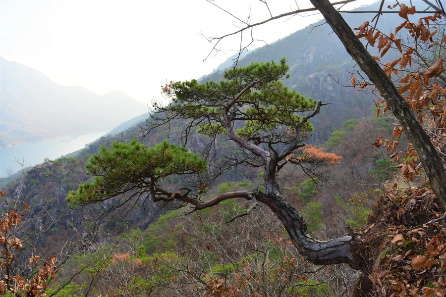 SE-1dbfb56d-34de-4979-b9e4-580613008495.jpg?type=w1