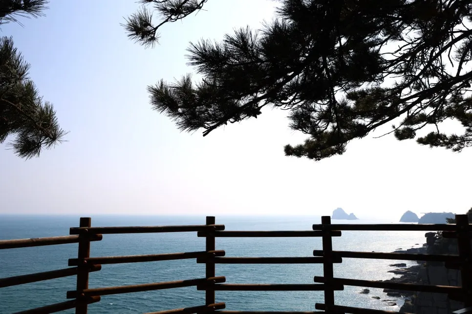 2%EC%9B%9426%EC%9D%BC_(38).JPG?type=w966