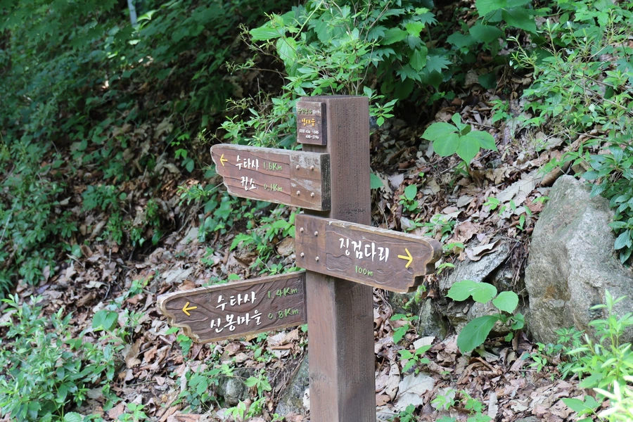 SE-a692fc69-e7a0-45c0-bb5d-123452486e2b.jpg?type=w1