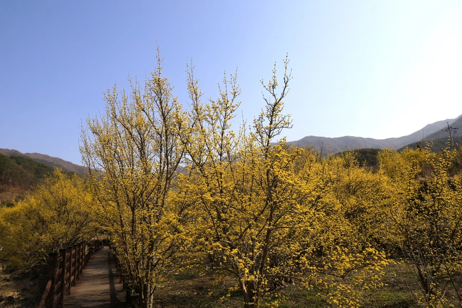 SE-6f5cbe70-3c2c-4d3b-b5a0-d310ad794c3f.jpg?type=w1