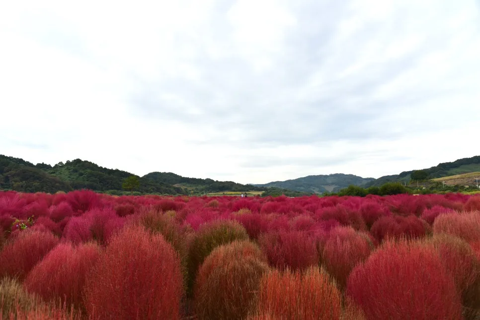 10%EC%9B%9414%EC%9D%BC_(43).JPG?type=w966