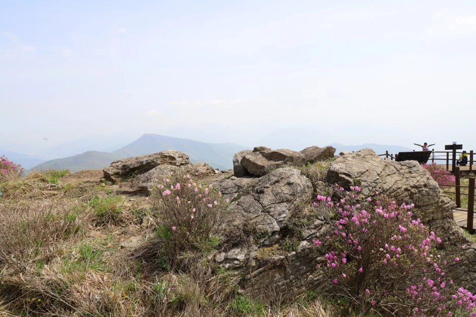 4%EC%9B%9428%EC%9D%BC_(101).JPG?type=w1