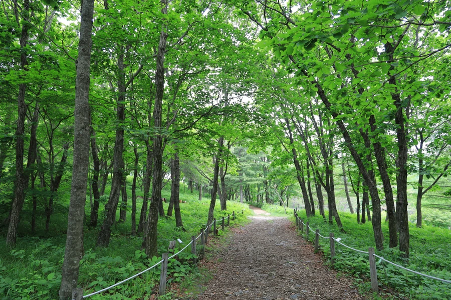 SE-aff76f1d-c8a3-4f51-ac73-b19a987d3775.jpg?type=w1