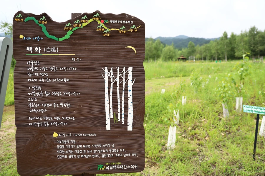 SE-58dc2563-ea0b-4715-a8b2-f80e243022f3.jpg?type=w1