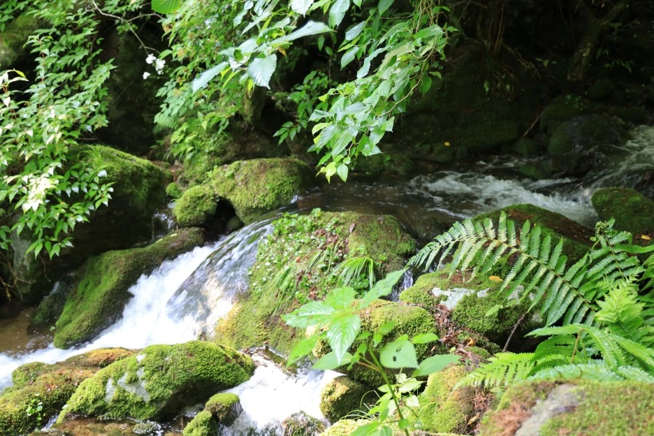 6%EC%9B%9428%EC%9D%BC_(43).JPG?type=w1