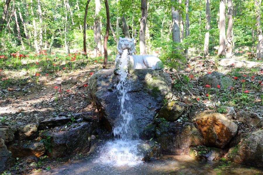 SE-f19a156b-d09e-418e-83c3-57b6eecbe725.jpg?type=w1