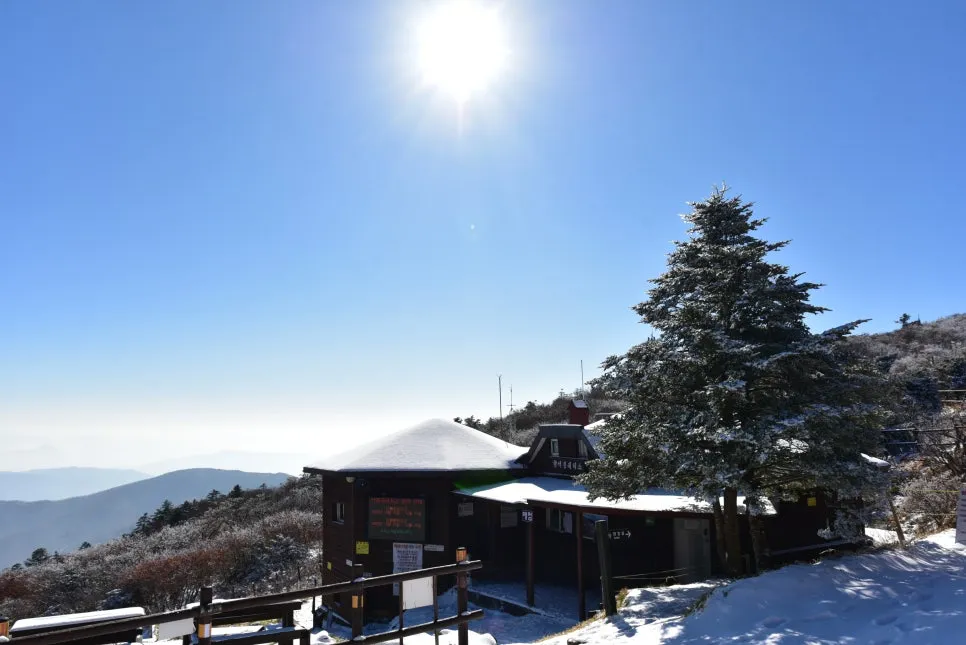 11%EC%9B%9426%EC%9D%BC_(171).JPG?type=w966