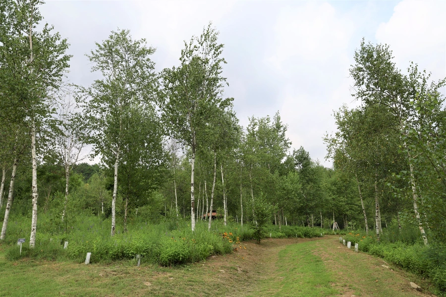 SE-435a45e0-7ec8-4980-843b-5103dcf602ee.jpg?type=w1