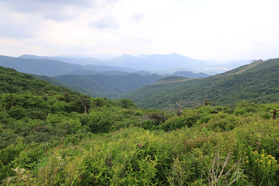 6%EC%9B%9414%EC%9D%BC_(255).JPG?type=w1