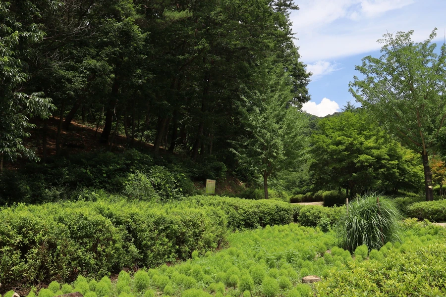 SE-468876bf-268f-4fac-94b0-5daf06117f74.jpg?type=w1