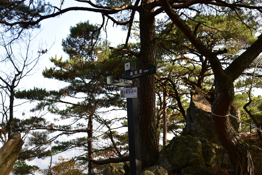 SE-cb3e1353-09ba-4794-9807-019a8158c3a6.jpg?type=w1