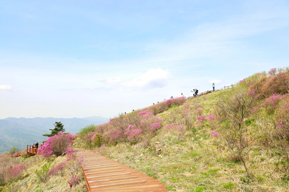 4%EC%9B%9428%EC%9D%BC_(74).JPG?type=w1