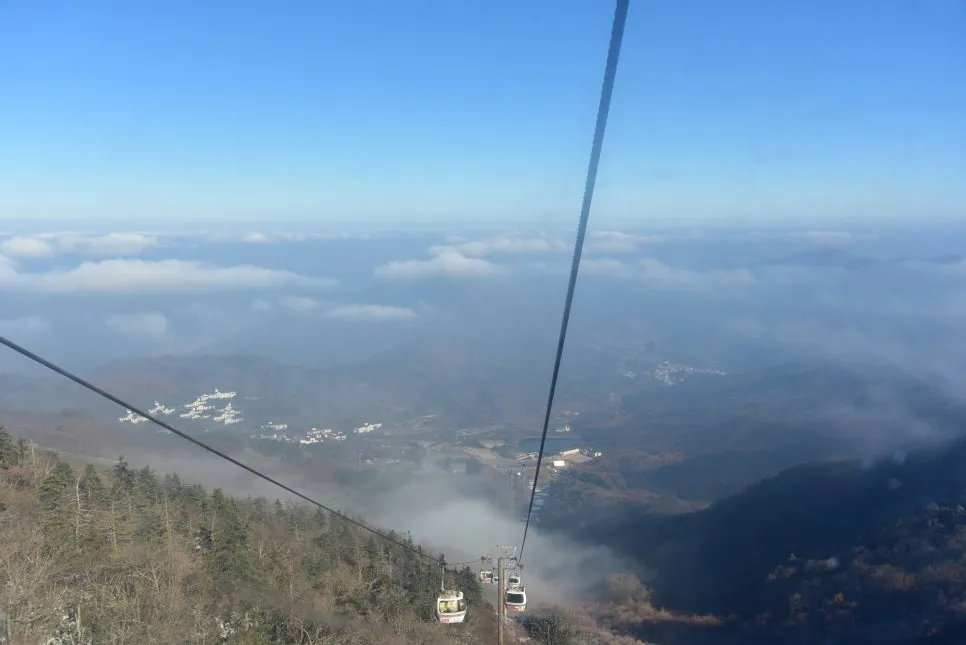 11%EC%9B%9426%EC%9D%BC_(18).JPG?type=w966