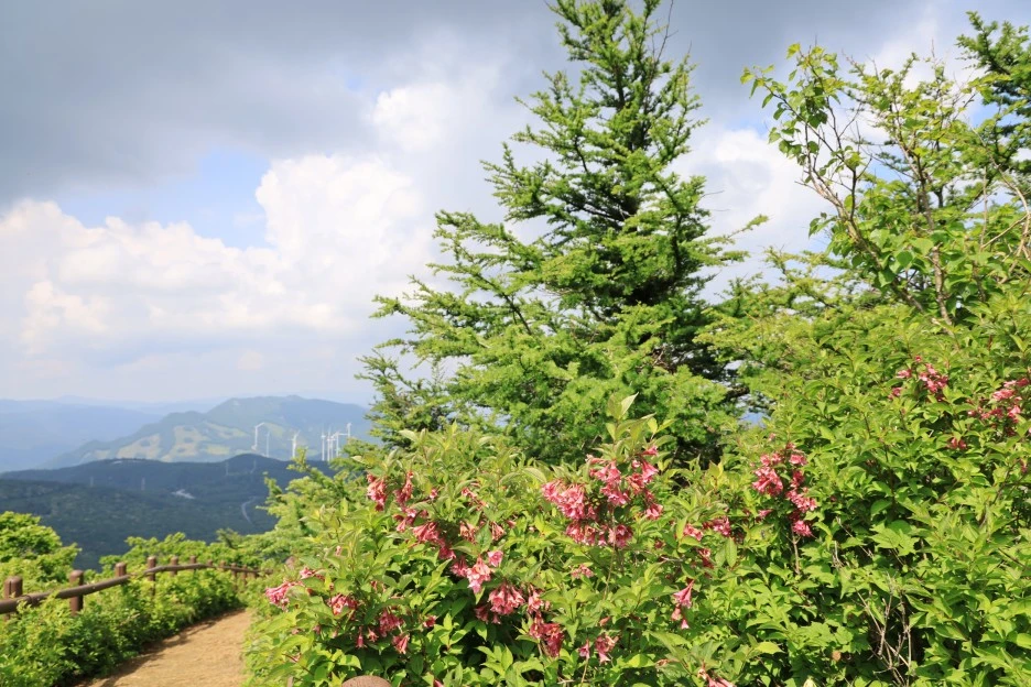 6%EC%9B%9414%EC%9D%BC_(139).JPG?type=w1