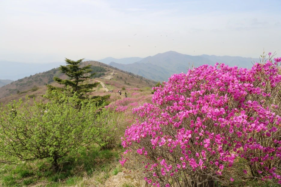 4%EC%9B%9428%EC%9D%BC_(138).JPG?type=w1