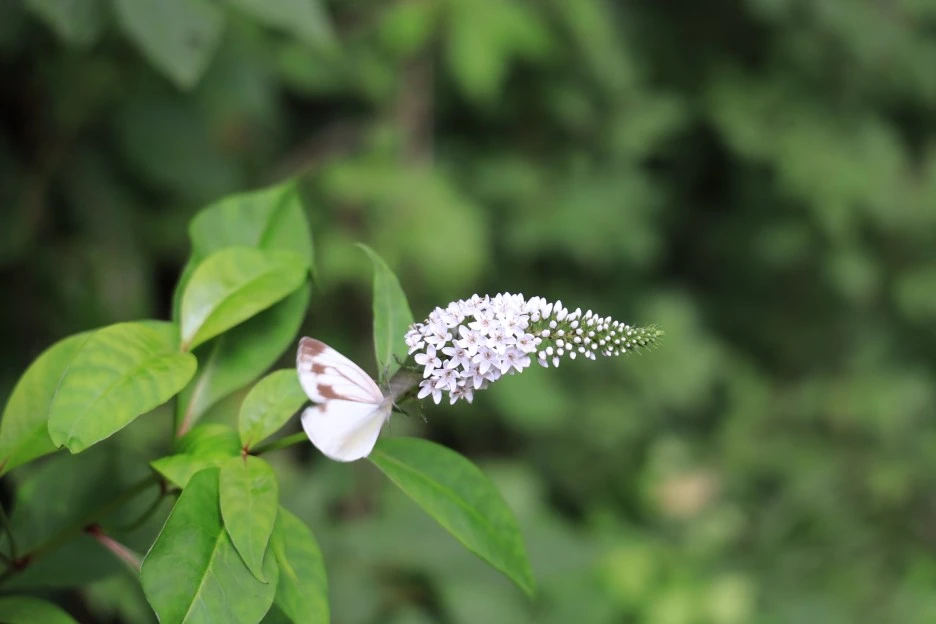 6%EC%9B%9428%EC%9D%BC_(419).JPG?type=w1