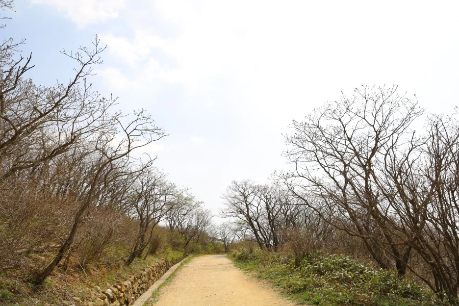 4%EC%9B%9428%EC%9D%BC_(158).JPG?type=w1